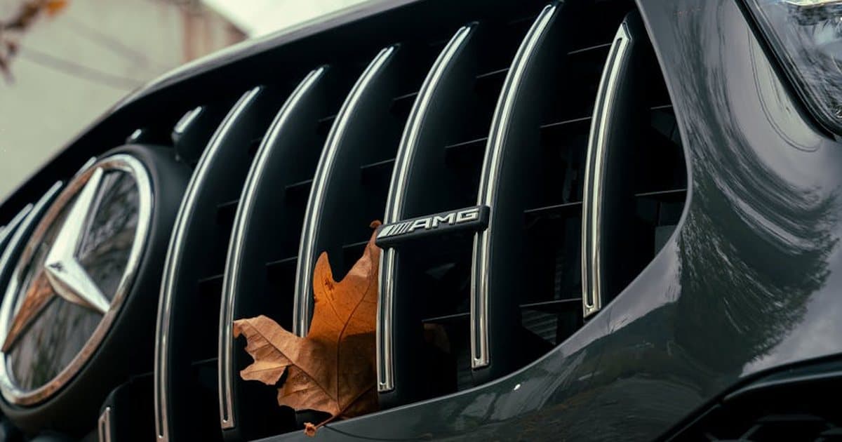 Žaliojo lapuko vairuotojų greičio apribojimai 2026