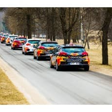 Draiveris, Šeškinė logotipas